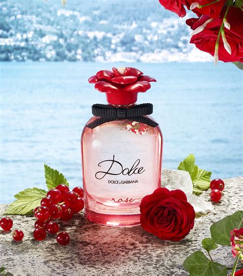 Dolce & Gabbana rose